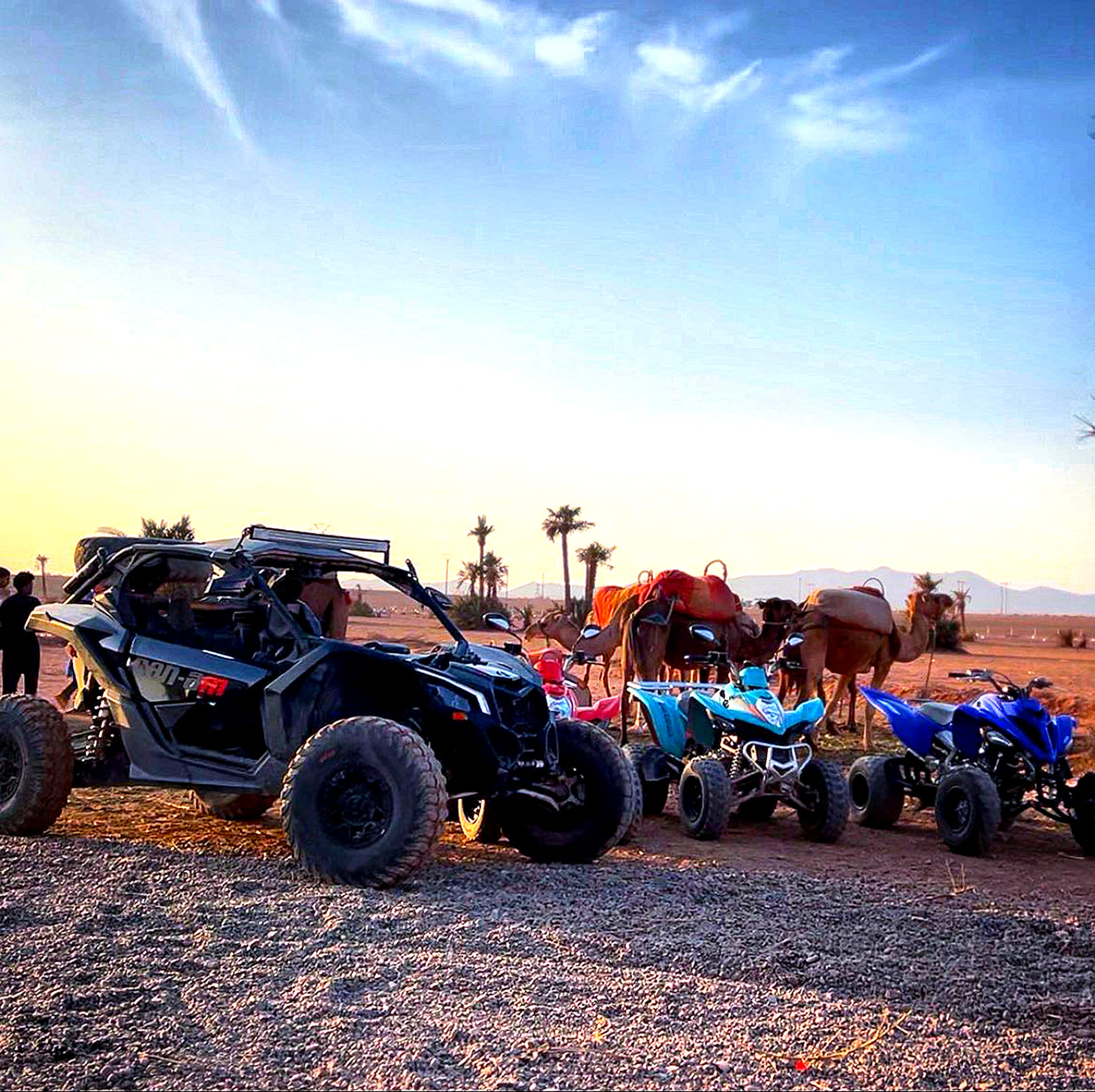 Big Buggy Tour – Desert Explorer Experience