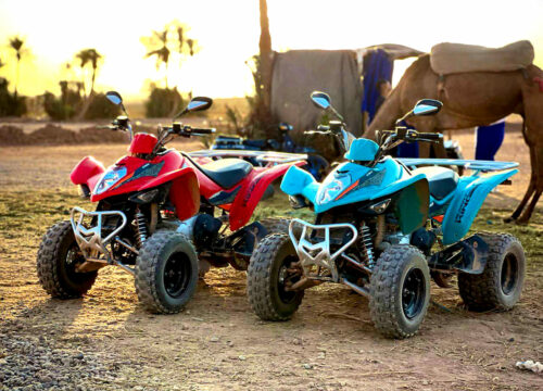 Quad Tour – 2 Hours of Adventure